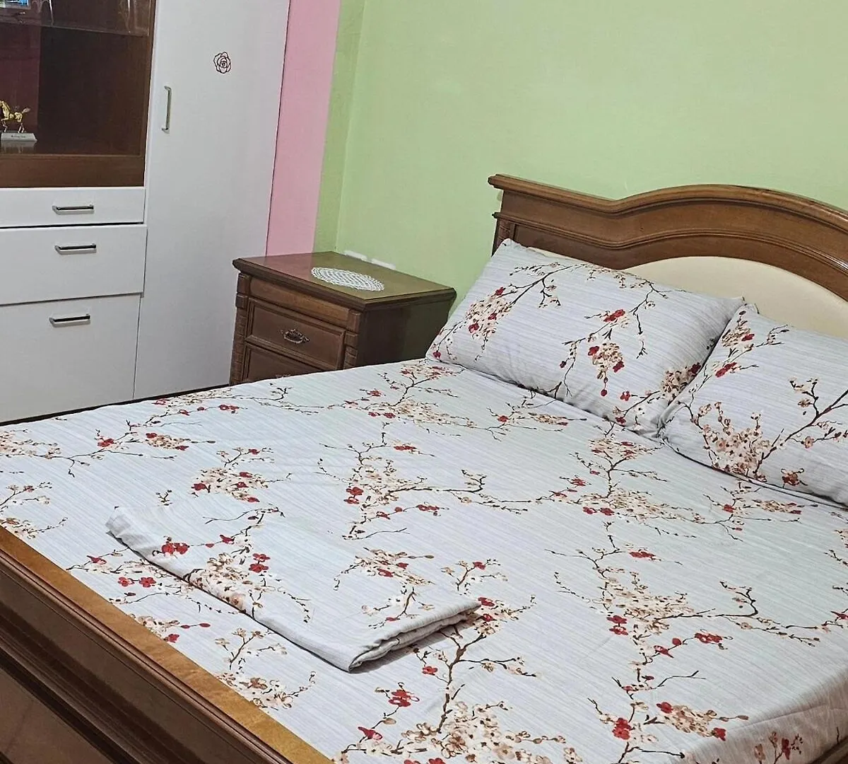 Villa Topuzi Second Floor Pogradec 0*,  Albanien